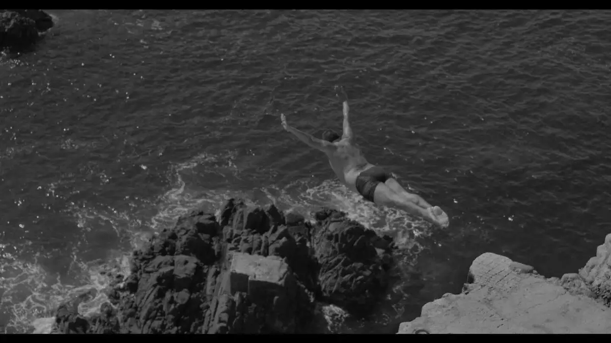 7a306cc6-a36a-4d65-a6c4-7190db414559