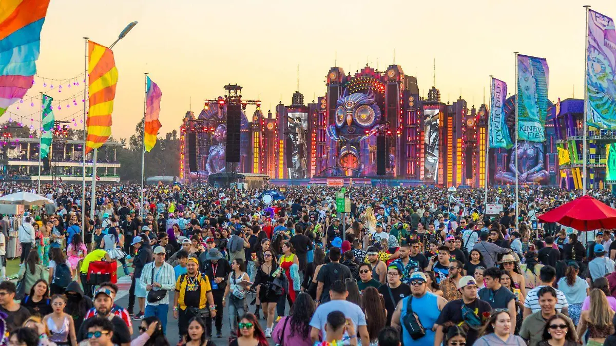 WhatsApp Image 2026-02-21 at 7.46.50 PM