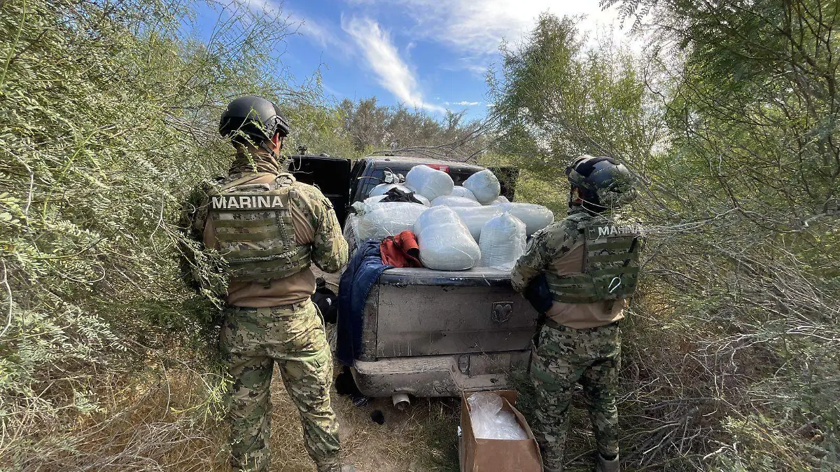 WhatsApp Image 2026-02-22 at 9.18.58 AM