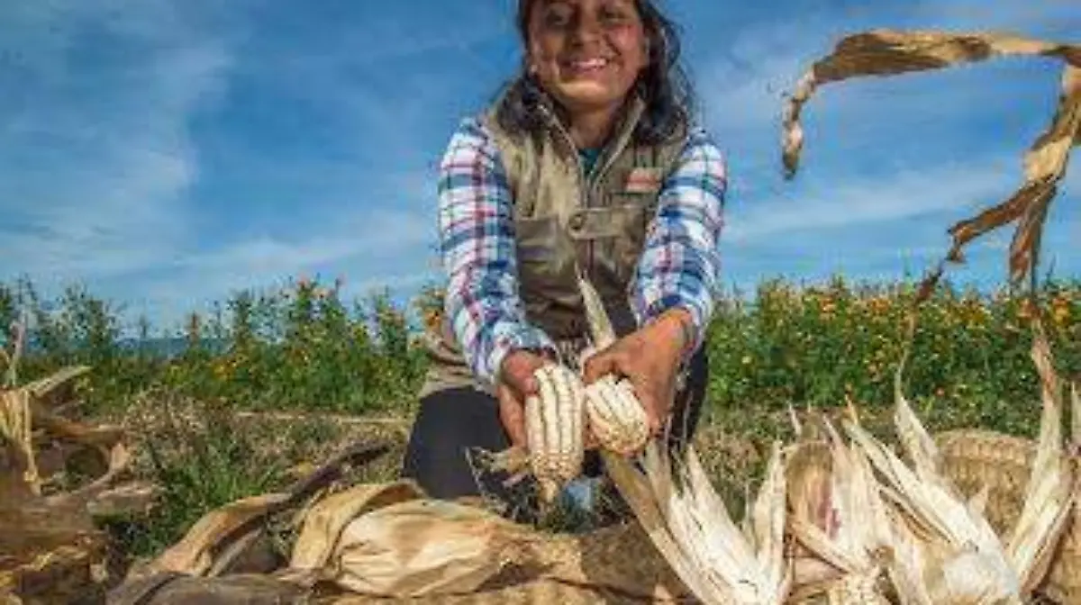 WhatsApp Image 2026-02-22 at 4.12.41 PM