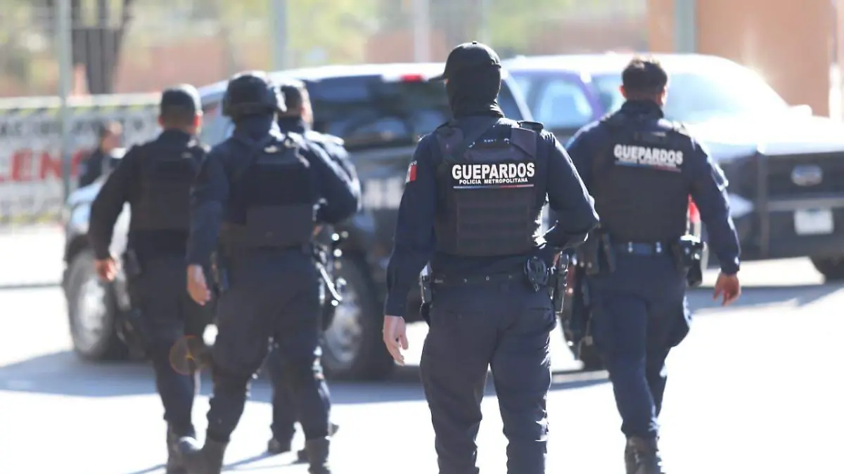 WhatsApp Image 2026-02-23 at 9.49.17 AM (1)