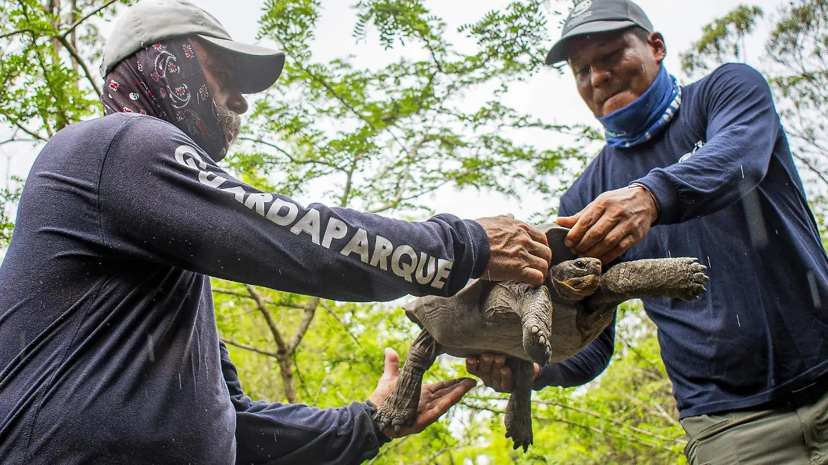 ae7e4950dbbb5cac3bb4bdb8a2ea5514ed759210