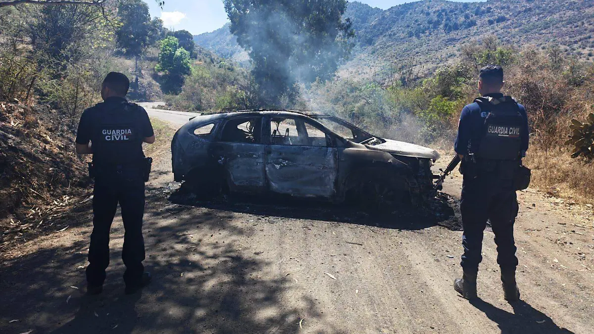 WhatsApp Image 2026-02-23 at 14.10.03