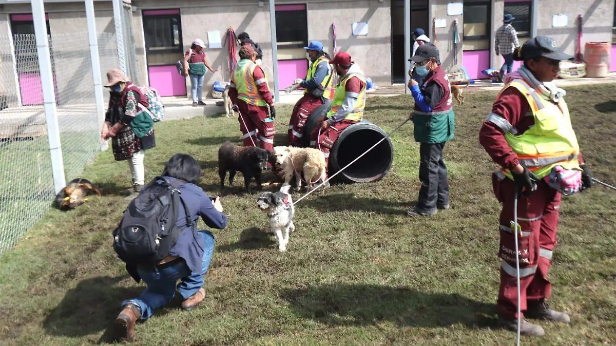 refugio canino Franciscano. OMAR FLORES (26)