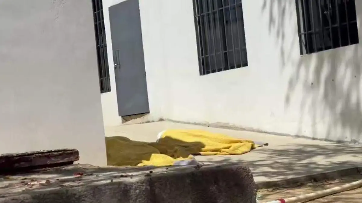 WhatsApp Image 2026-02-24 at 15.00.14