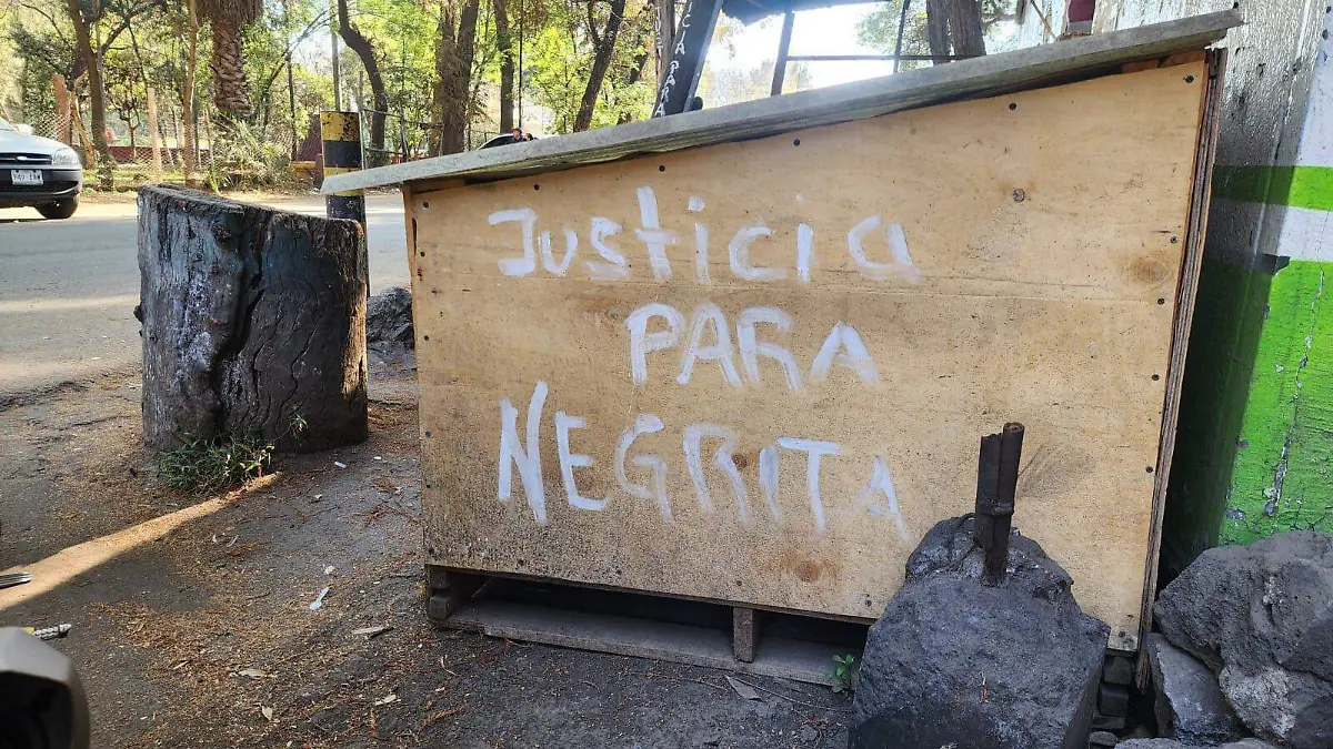 WhatsApp Image 2026-02-24 at 6.13.30 PM