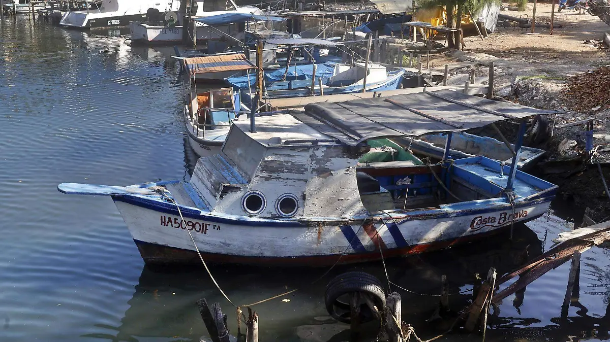 a5676d7a0327ec43571bd150e65a102d55db0b82w