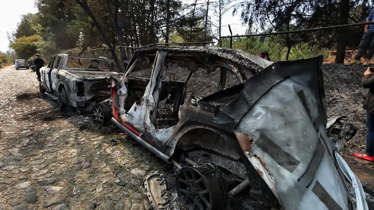 WhatsApp Image 2026-02-25 at 12.39.52 PM