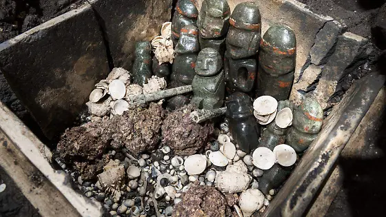 WhatsApp Image 2026-02-27 at 4.13.13 PM