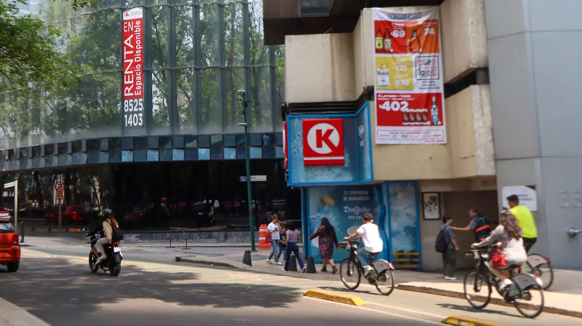 OFICINAS EN RENTA romina solis (1)