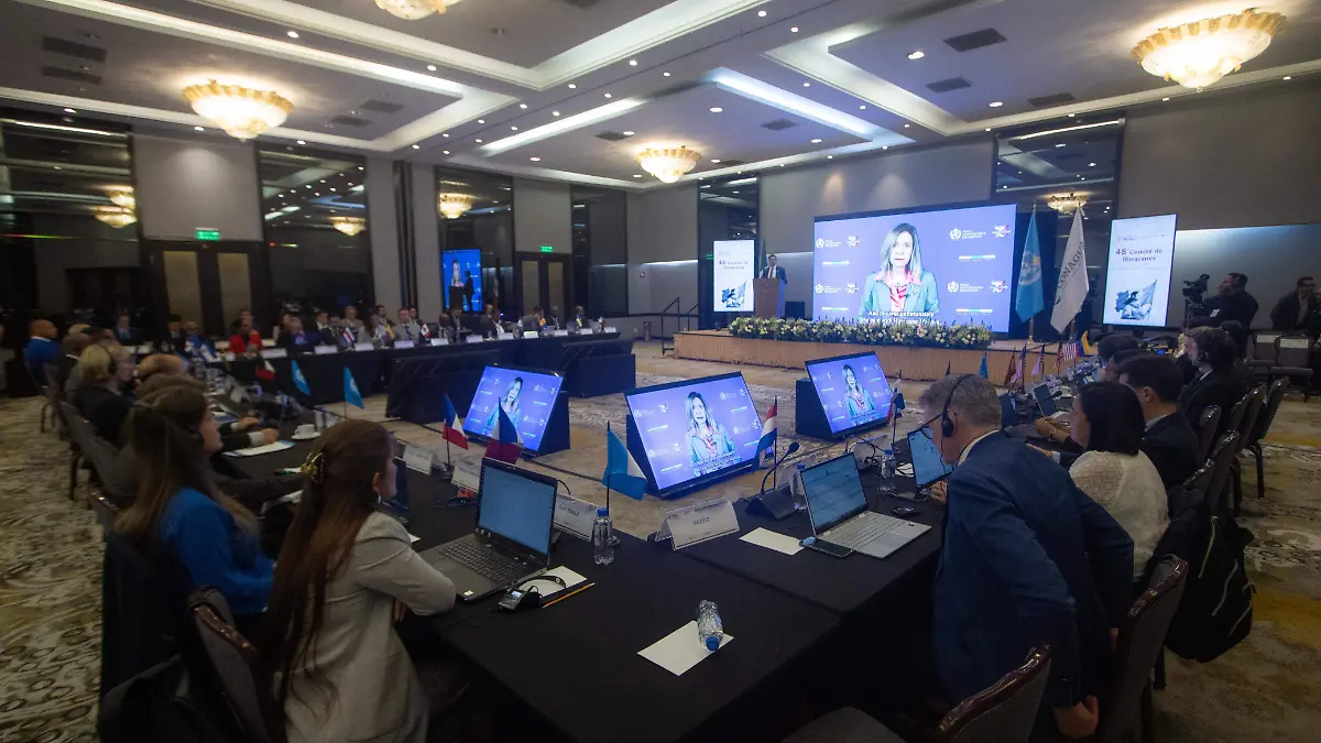 WhatsApp Image 2026-03-02 at 11.33.23 AM