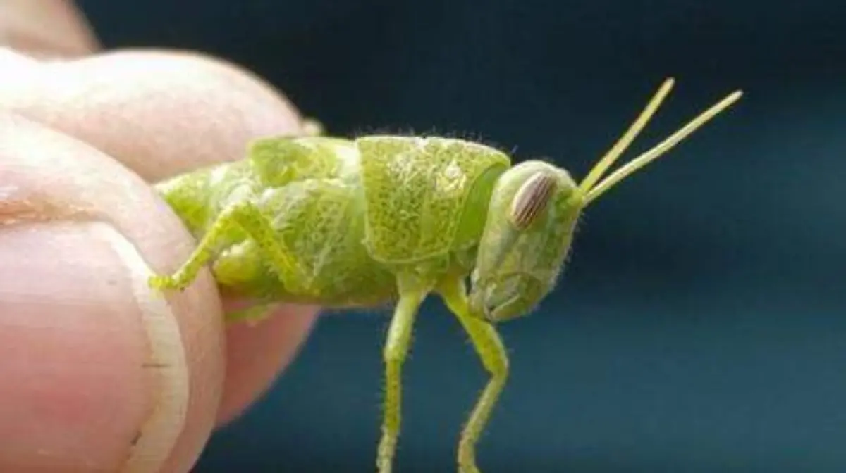 WhatsApp Image 2026-03-03 at 12.25.13 PM