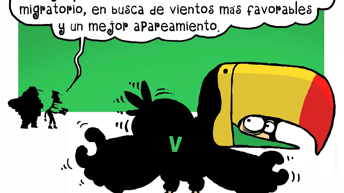 carton PATRICIO
