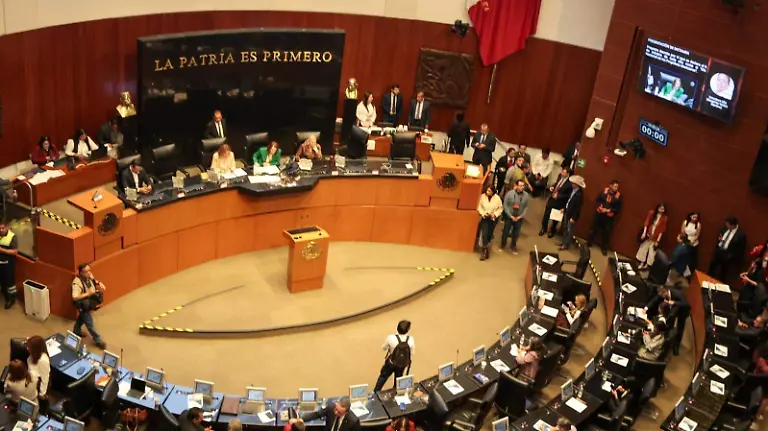 WhatsApp Image 2026-03-03 at 4.35.53 PM