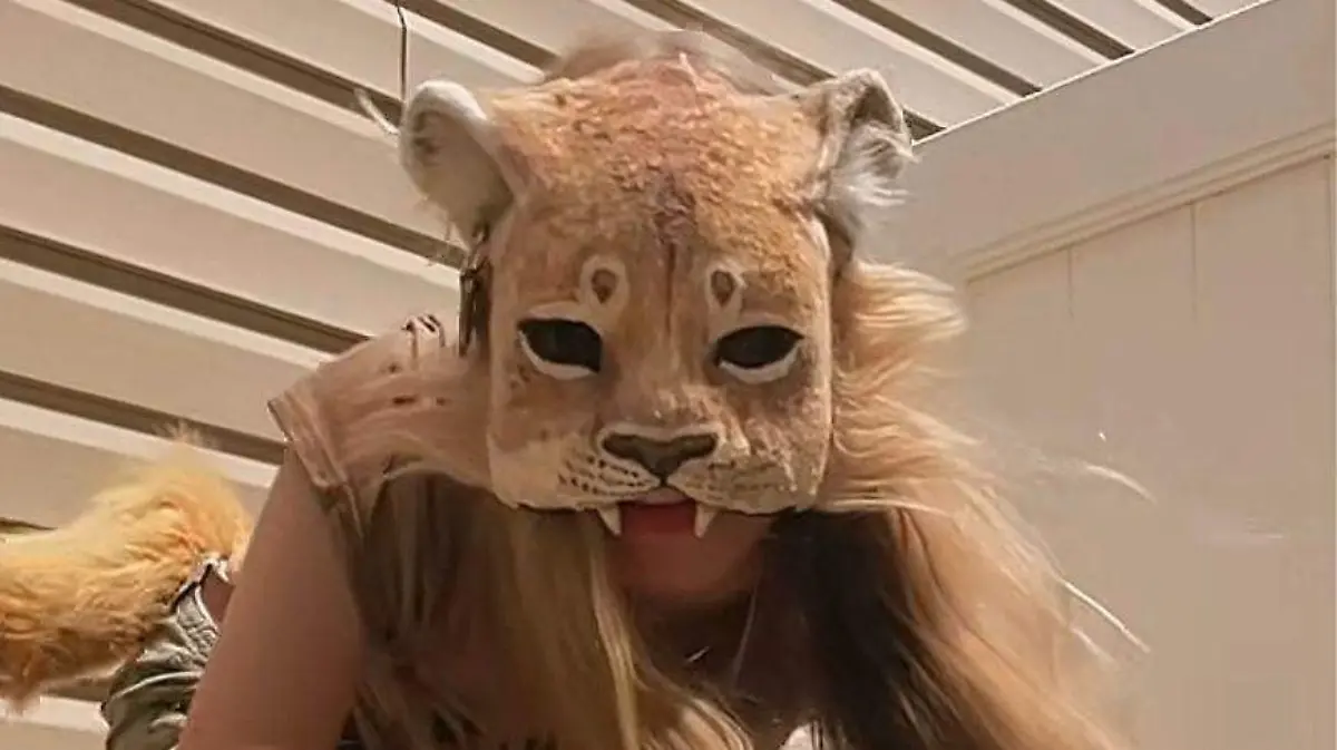 WhatsApp Image 2026-03-04 at 4.53.30 PM