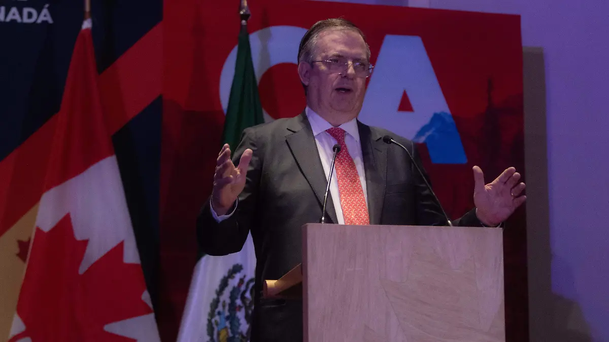 WhatsApp Image 2026-02-16 at 11.03.09 AM