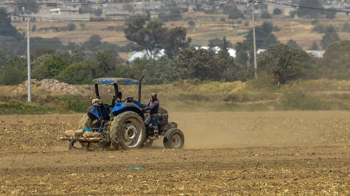 1023223_Preparan tierra para cultivar maíz_web