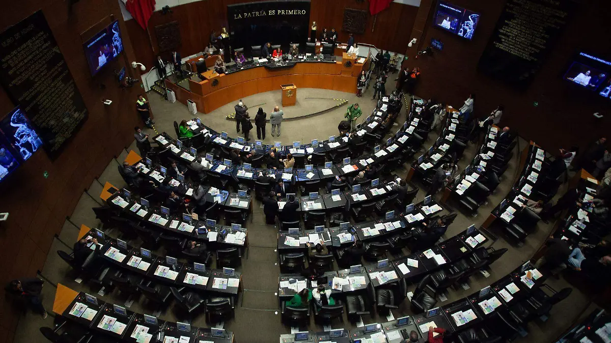 1070579_Sesión Cámara de Senadores_web