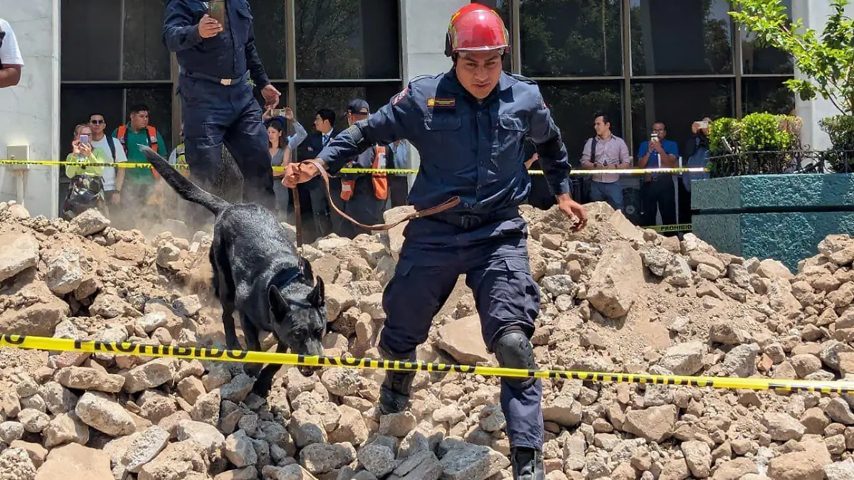 BOMBEROS DE LA CDMX (3)