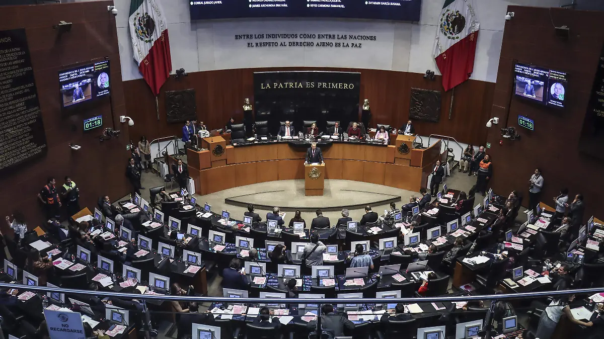 6157394-Senado-Sesion-Senadores-Legisladores (1)