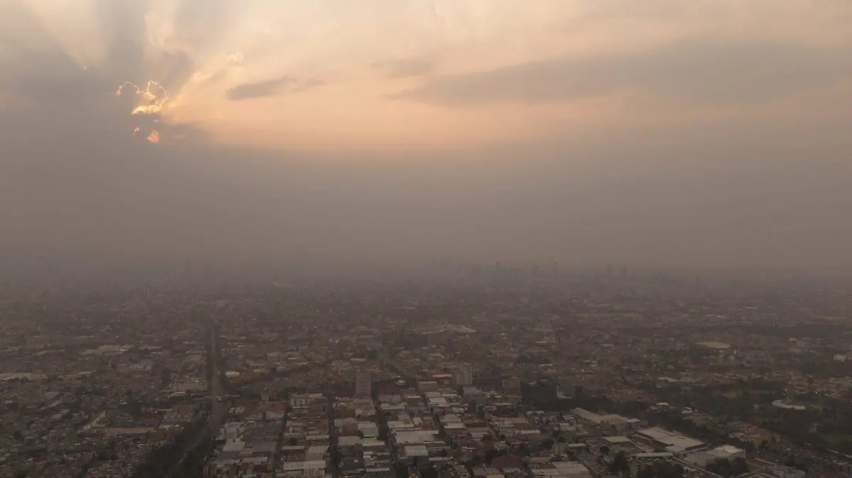 WhatsApp Image 2026-03-10 at 6.34.01 PM