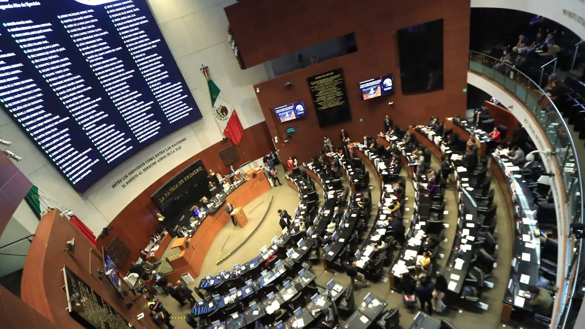 WhatsApp Image 2026-03-11 at 3.14.56 PM