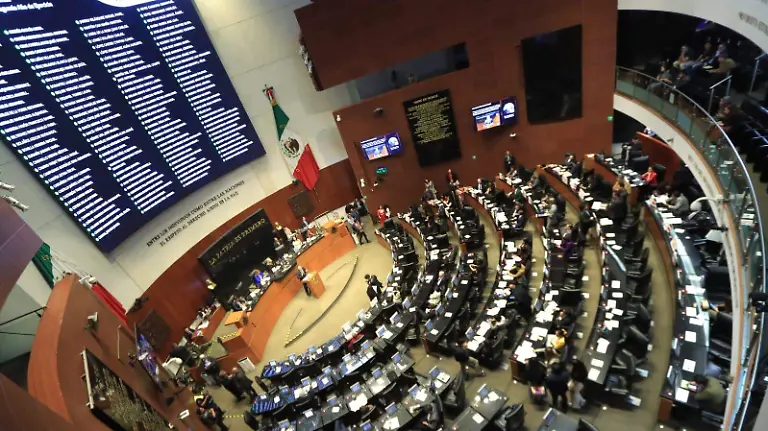 WhatsApp Image 2026-03-11 at 3.14.56 PM