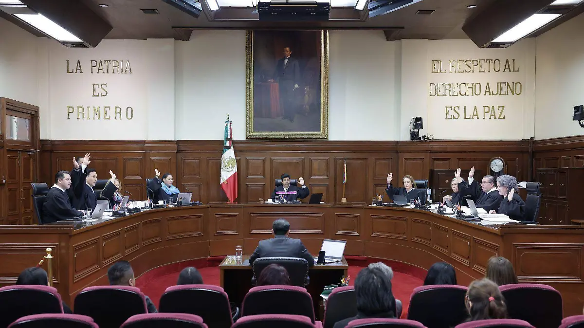 1072636_SCJN Protección Infancias Trans_web