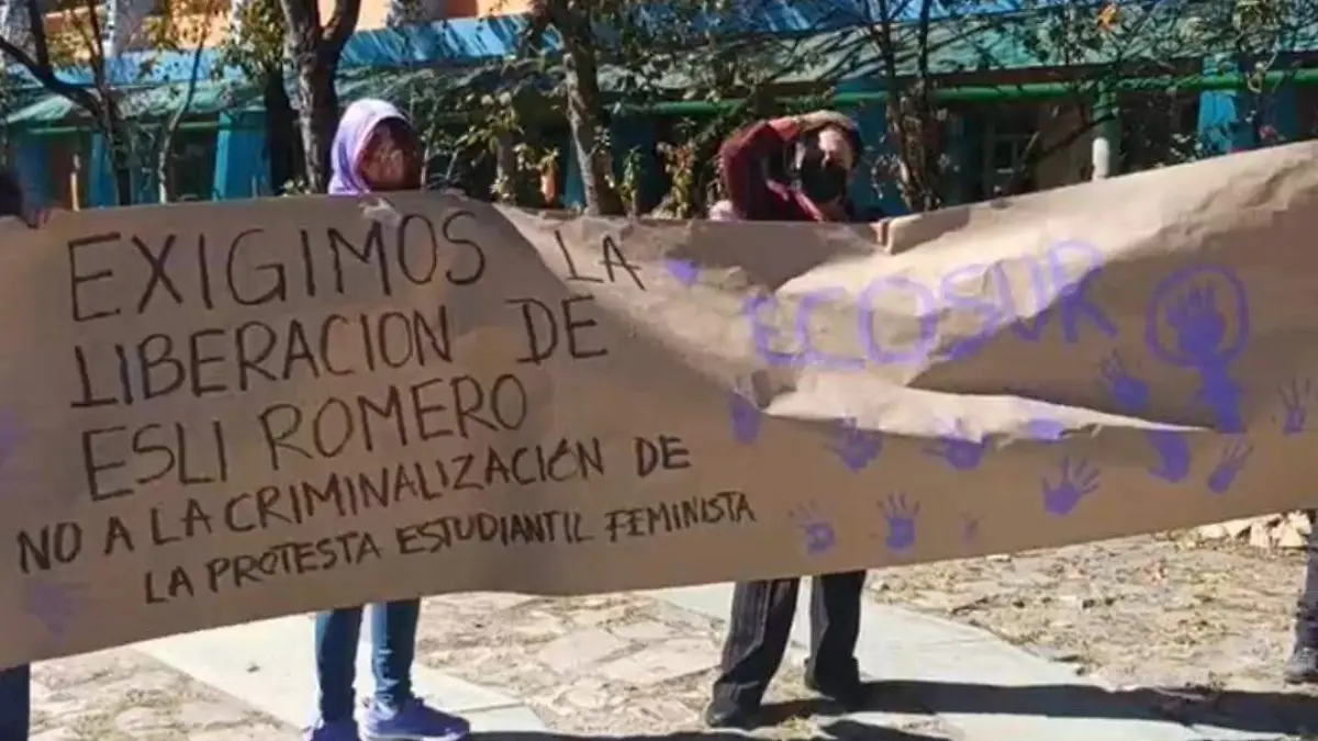 WhatsApp Image 2026-03-14 at 12.07.17 PM