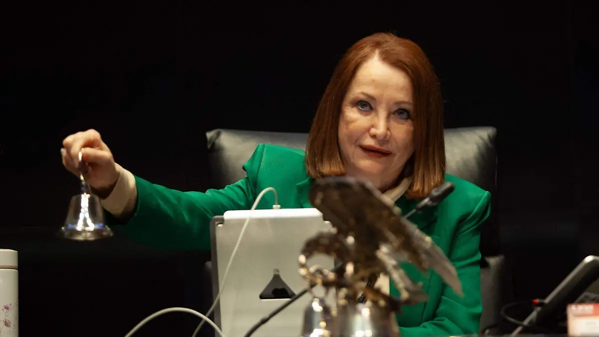 1071565_Sesión Cámara de senadores_web