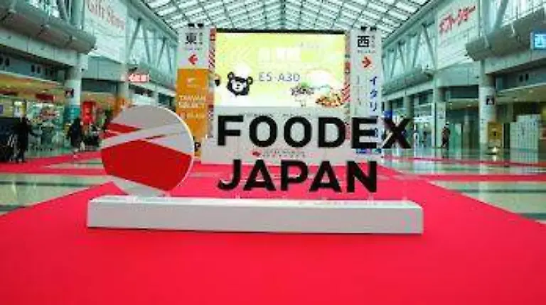 WhatsApp Image 2026-03-15 at 17.06.38