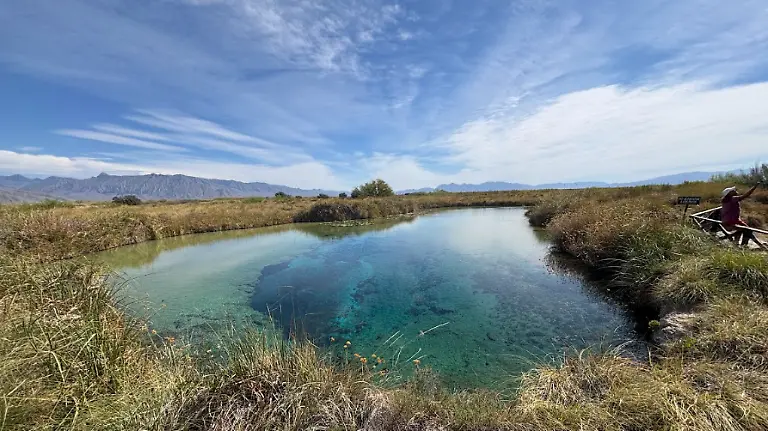 Captura de pantalla 2026-03-17 130218