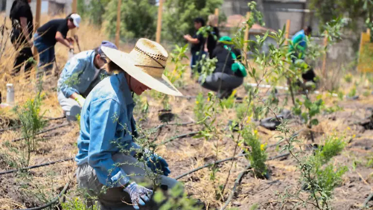 02 INT GRANDE_Cortesía-Sugi-Project__