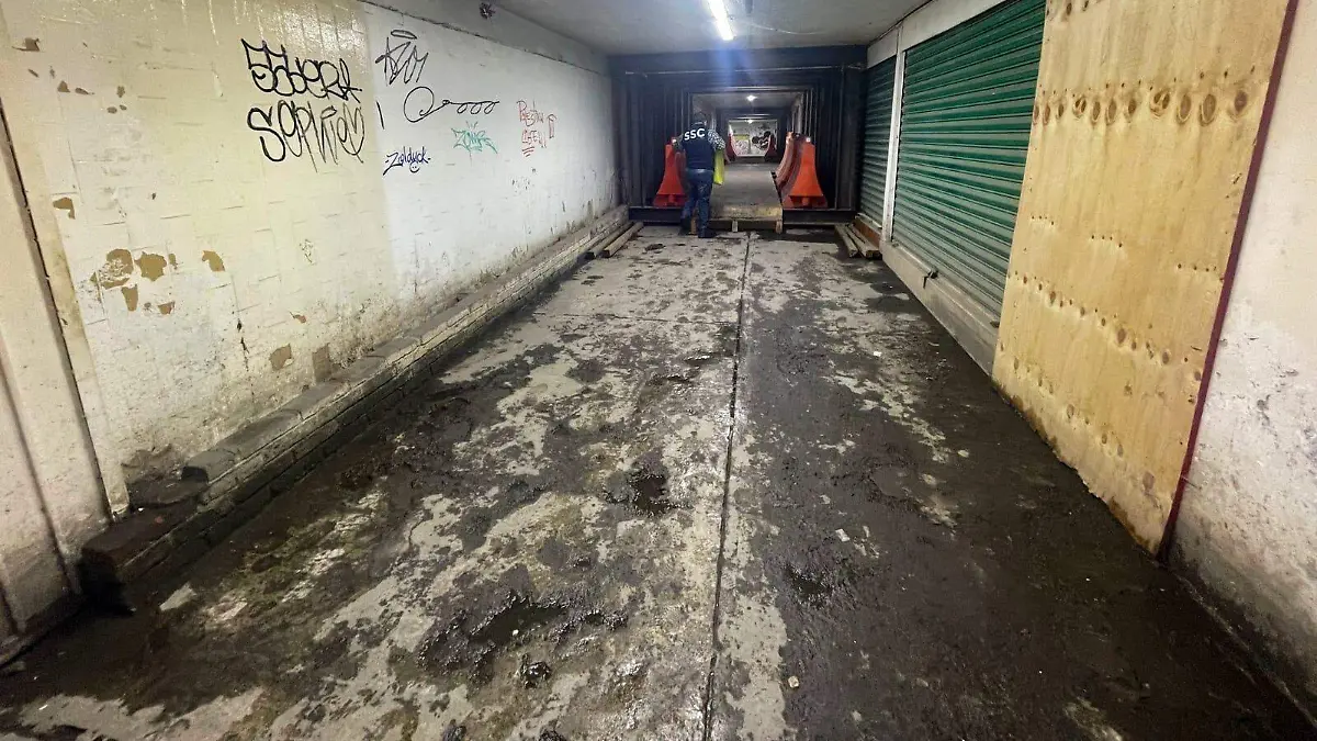 WhatsApp Image 2026-03-17 at 7.33.57 PM