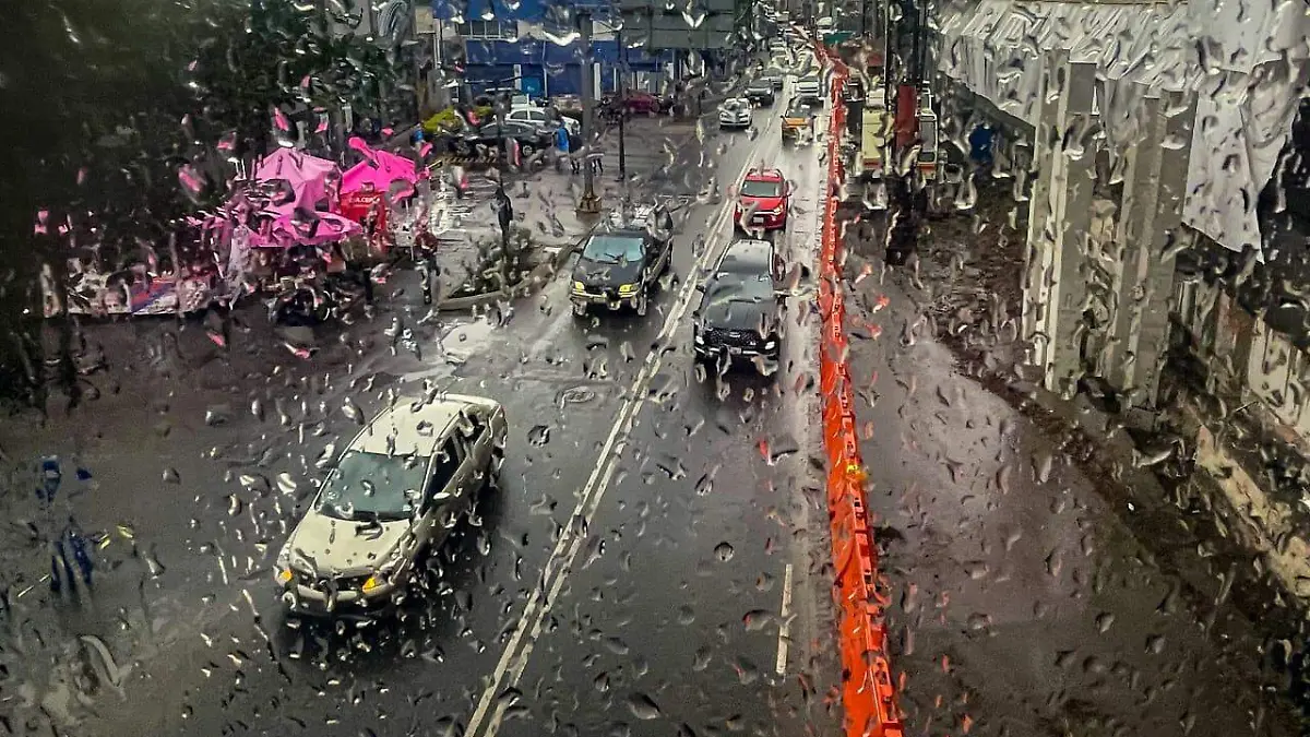 WhatsApp Image 2026-03-17 at 4.01.03 PM