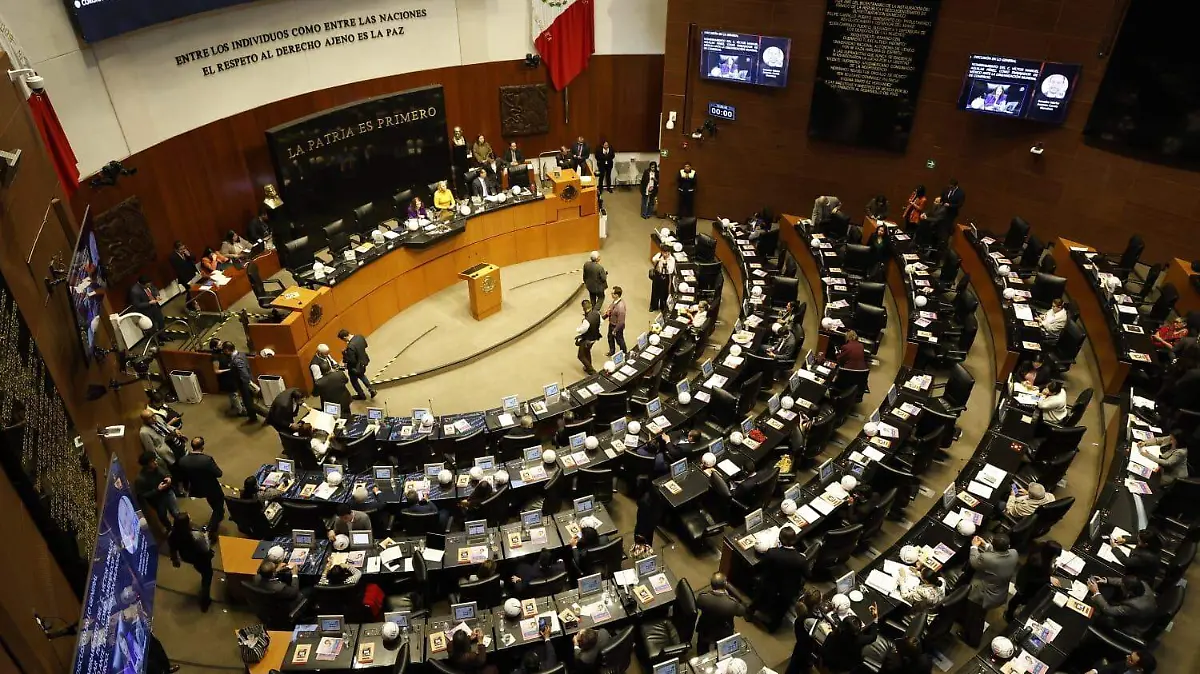 WhatsApp Image 2026-03-18 at 3.19.58 PM