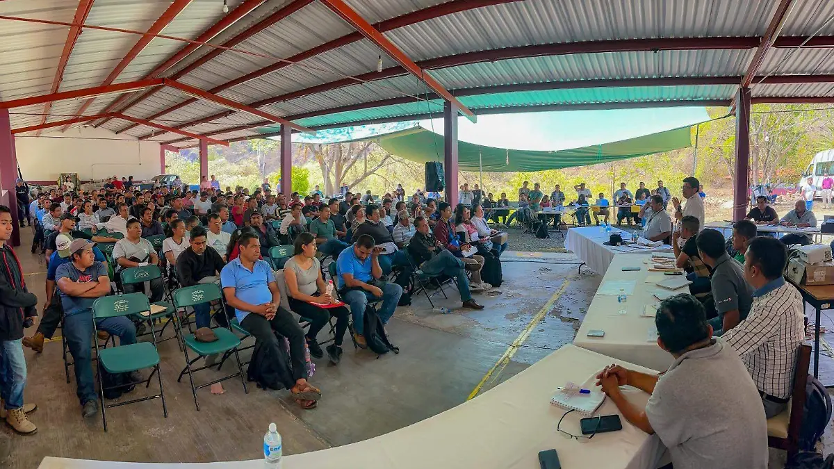 WhatsApp Image 2026-03-18 at 16.35.24