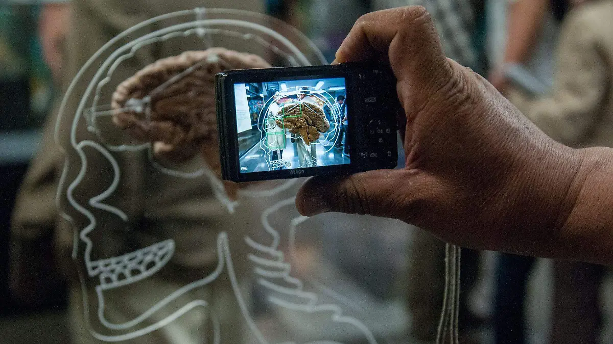 507436_Metro Exposición Cerebros _web