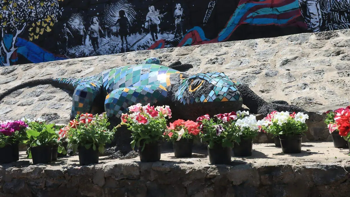 WhatsApp Image 2026-03-19 at 3.05.17 PM (1)