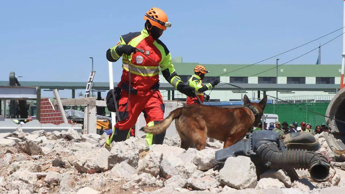 SEDENA  práctica rumbo al Mundial 2026 5