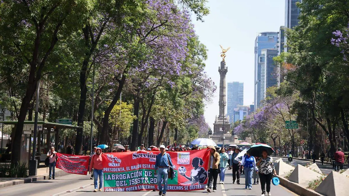 WhatsApp Image 2026-03-19 at 12.49.39 PM