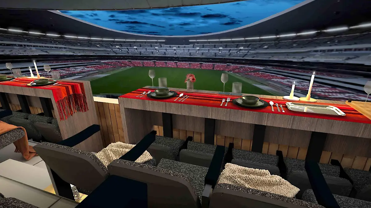 15 - FIFA OOA Mexico - Pitch view-  Airbnb 