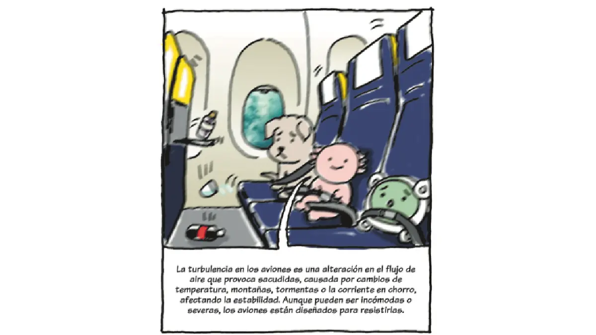 Pedacitos de historia aviones 10.png