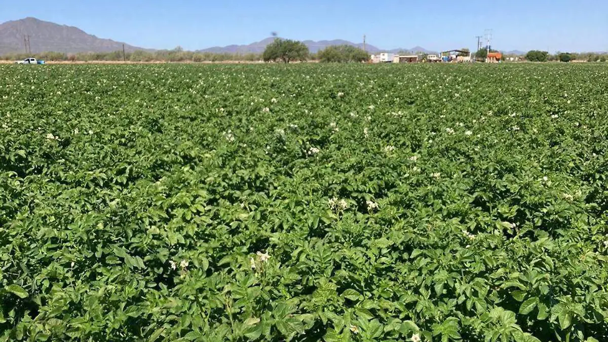 WhatsApp Image 2026-03-22 at 11.00.34 AM