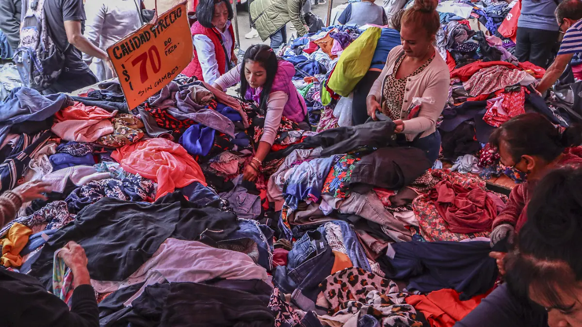 El origen y la historia de la paca