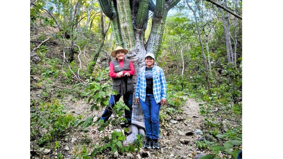 Nazareth Cortés Velasco, presidenta del Comisariado Ejidal de San Pedro Totolápam