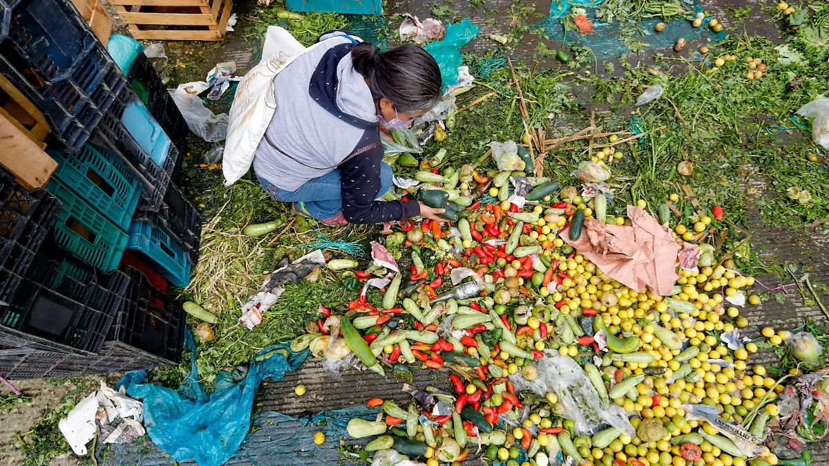 RECOLECTA-DE-VERDURAZ-EN-LA-CENTRAL-DE-ABASTOS- romina solis-20
