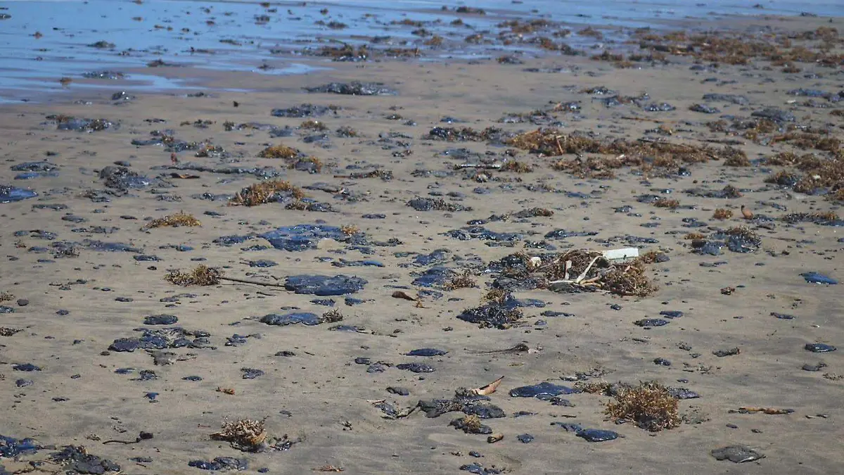 1074637_Veracruz Desastre Ecológico_web