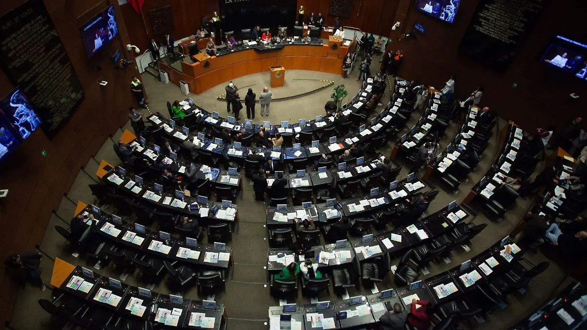 1070579_Sesión Cámara de Senadores_web