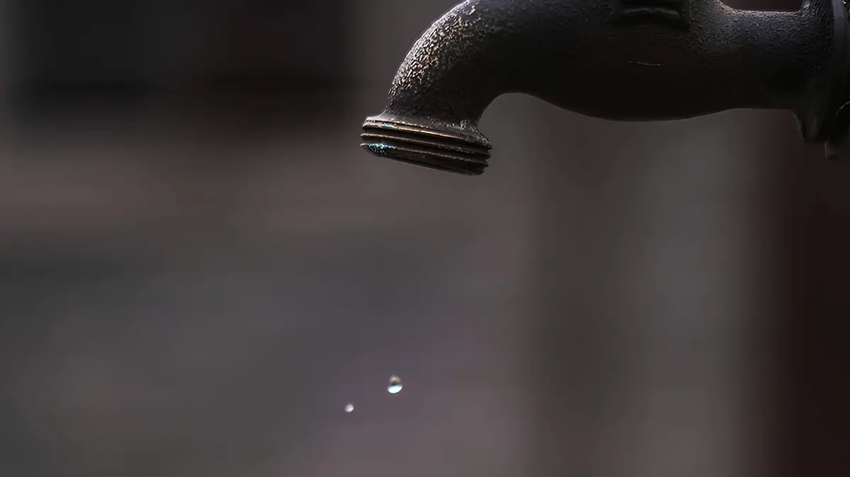 01 PORTADA unsplash_walter randlehoff (2)